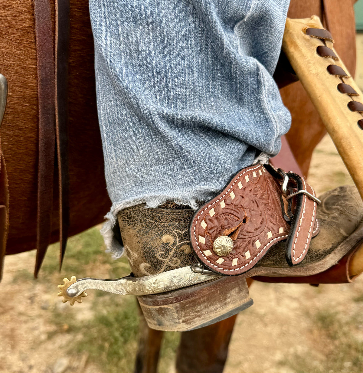 Helena Special Spurs