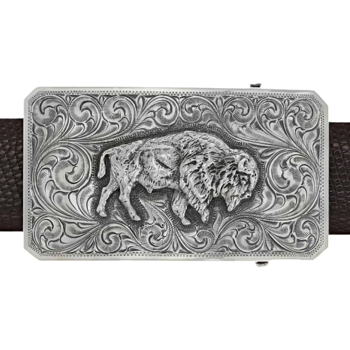Clint Orms Jasper 1800 sterling silver trophy buckle with a hand-engraved buffalo, on a brown belt