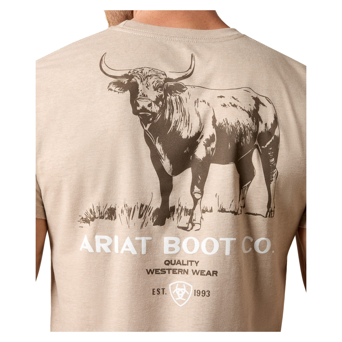 Ariat Men's Beefy Boy T-Shirt, Brindle Heather – detail 2