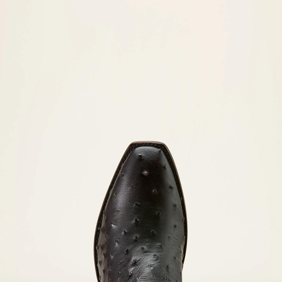 Ariat Mens Chocolate Full Quill Ostrich 10074203 - view 5