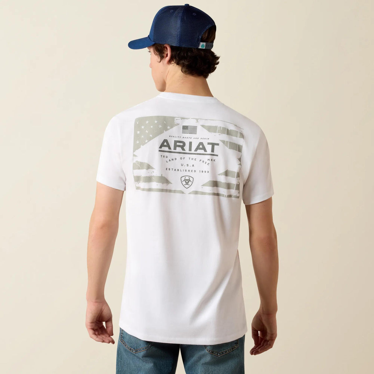 Ariat Men's Lockup Flag Painted T-Shirt, White – back