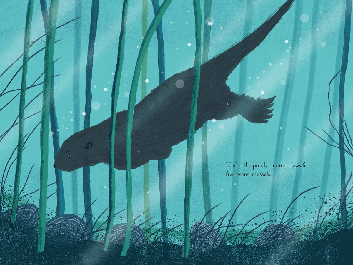 Illustration from Chronicle Books' "Over and Under the Pond" showing a colorful underwater scene with fish, plants, and pond life.