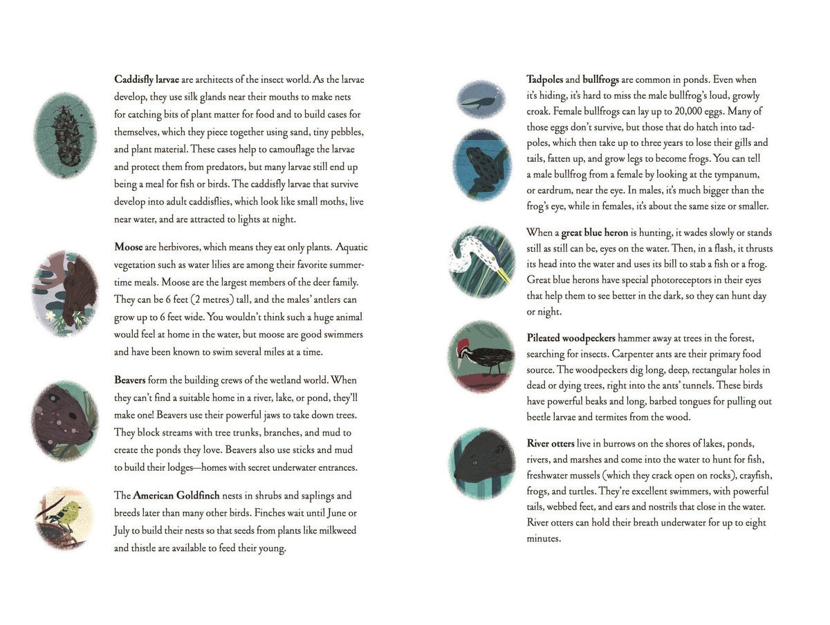 Children's book "Over and Under the Pond" by Chronicle Books, featuring colorful underwater pond scenes and playful illustrations.