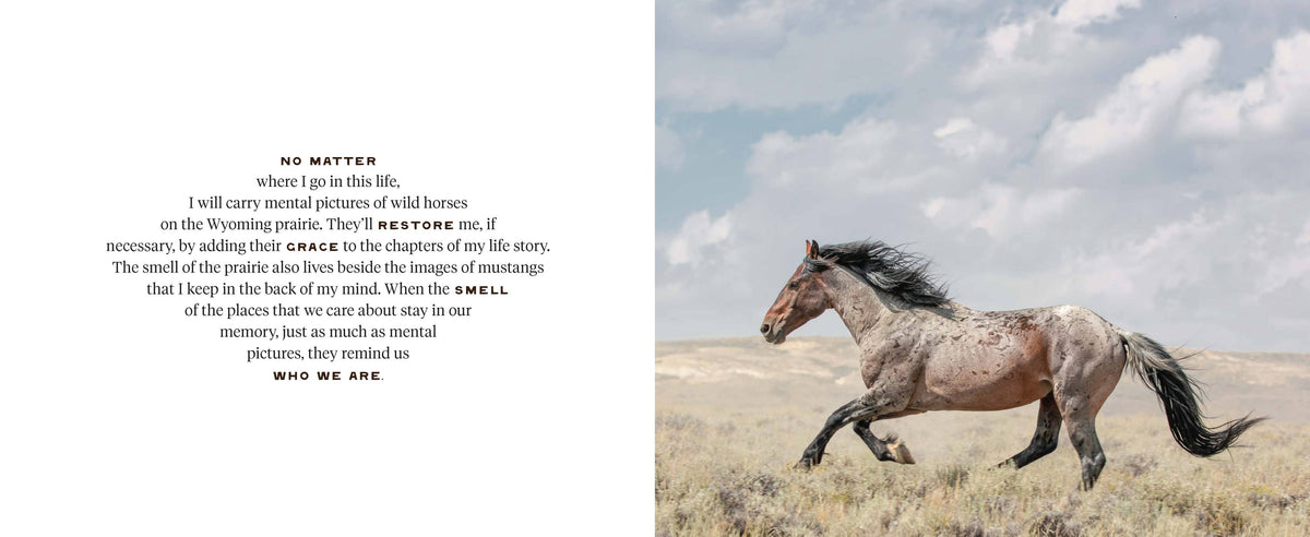 Cover of Chronicle Books' Wild Horse Effect book featuring vibrant artwork and title text on a colorful background