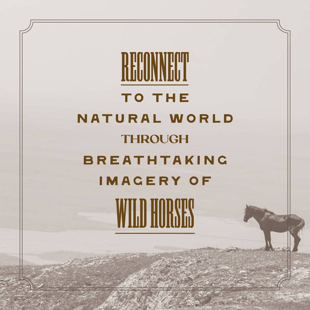 Cover of the Wild Horse Effect book by Chronicle Books featuring colorful wild horse illustrations and artistic typography.
