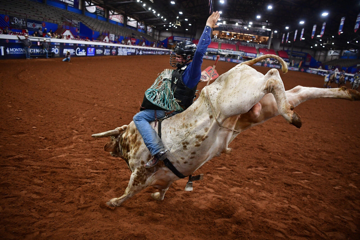 Cinch
