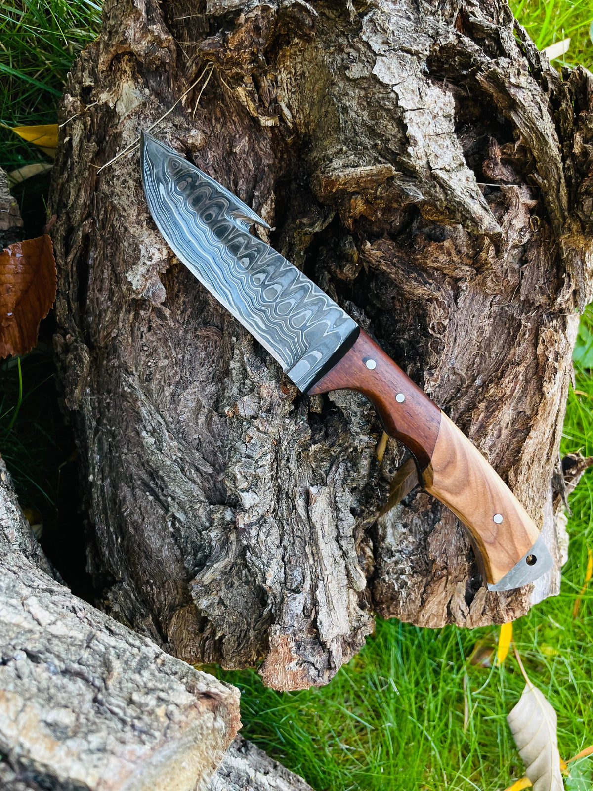 Damascus steel Guthook Skinning Knife TK-056 by Titan International K, featuring a sharp blade for hunting and skinning tasks.