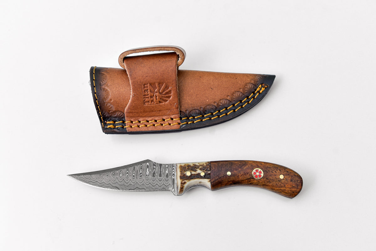 Damascus steel skinning knife with stag and walnut handle by Titan International, model TD-340, on a plain background.