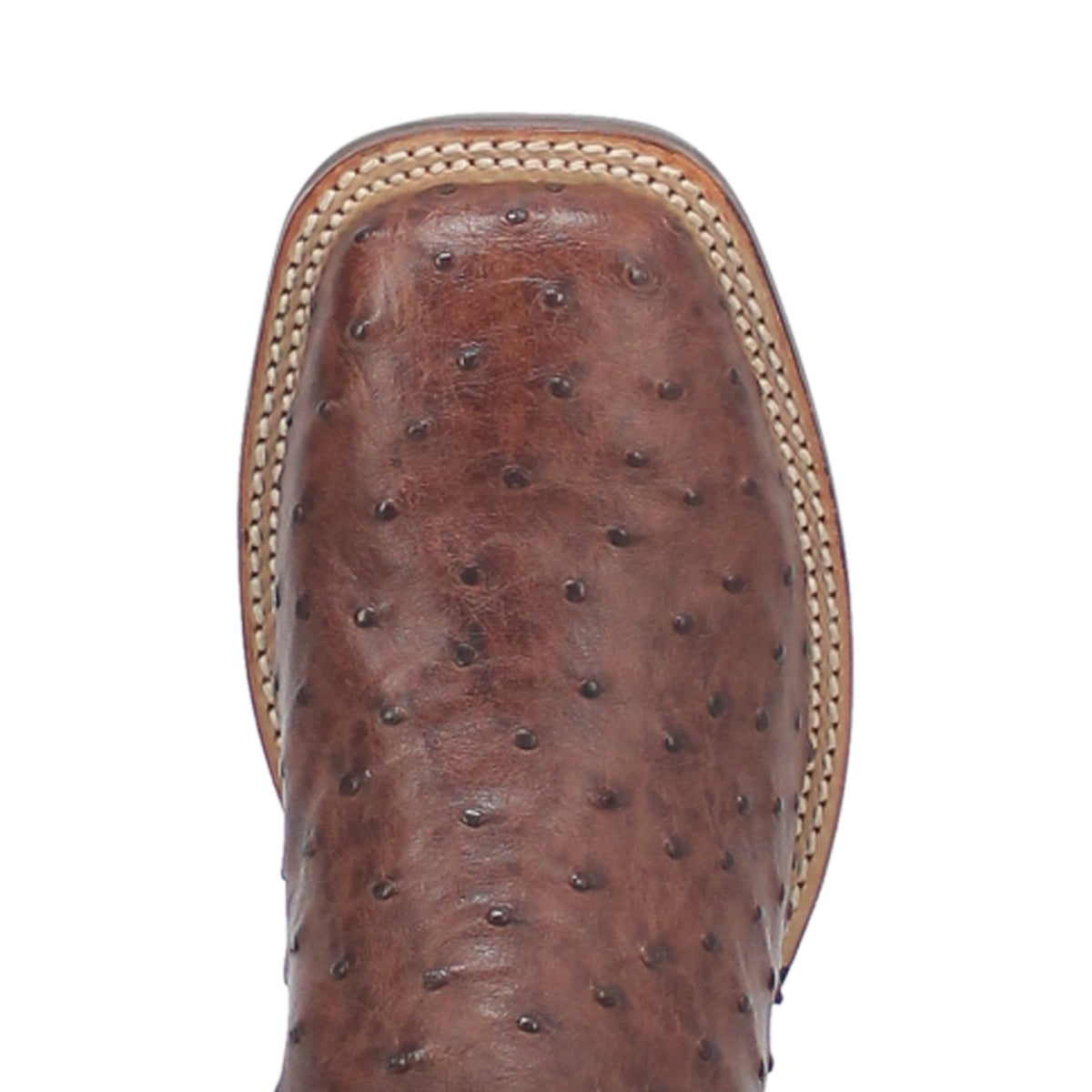 Dan Post Men's Alamosa Full Quill Ostrich Boot, Chocolate – top