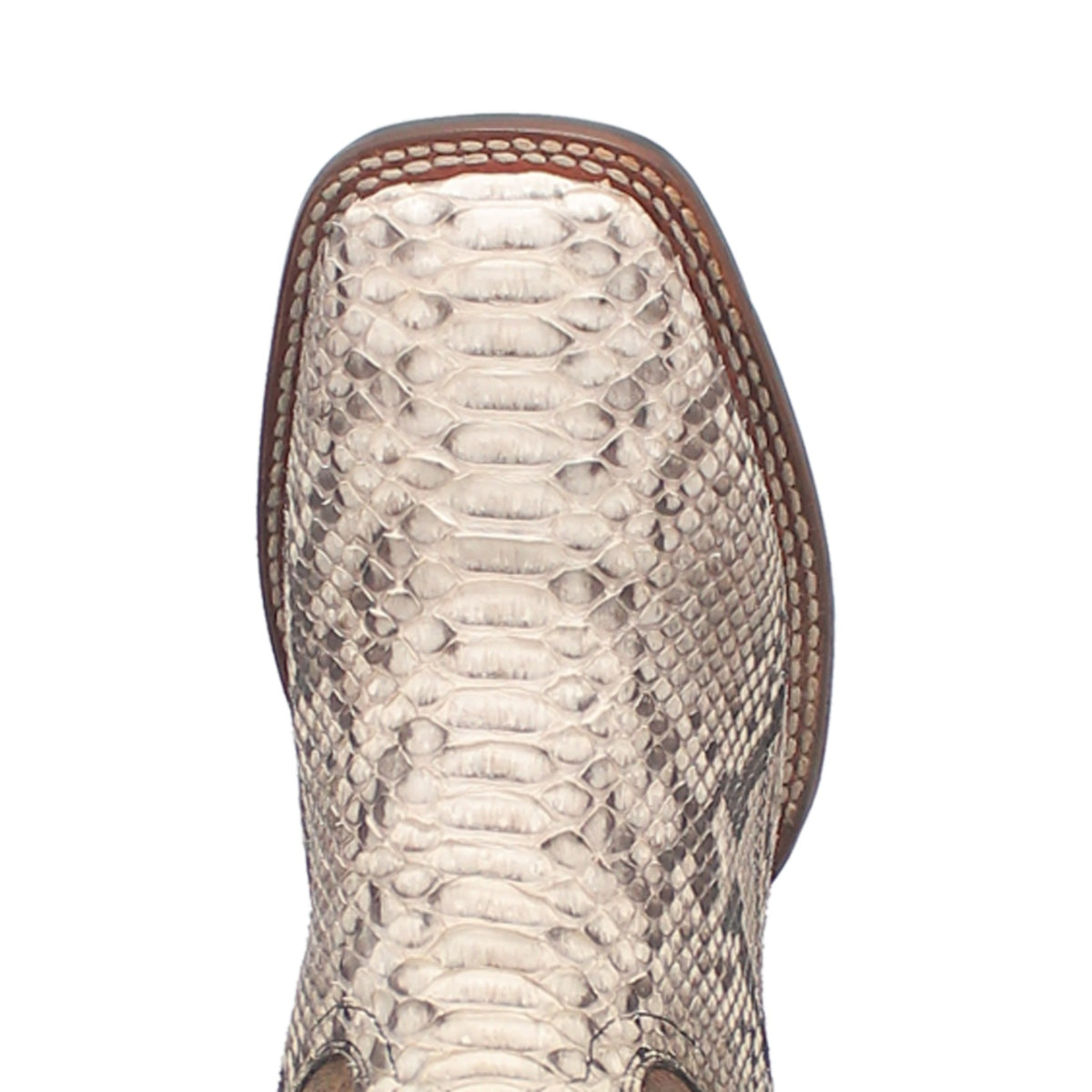 Dan Post Men's Brutus Python Boot, Natural/Brown – top