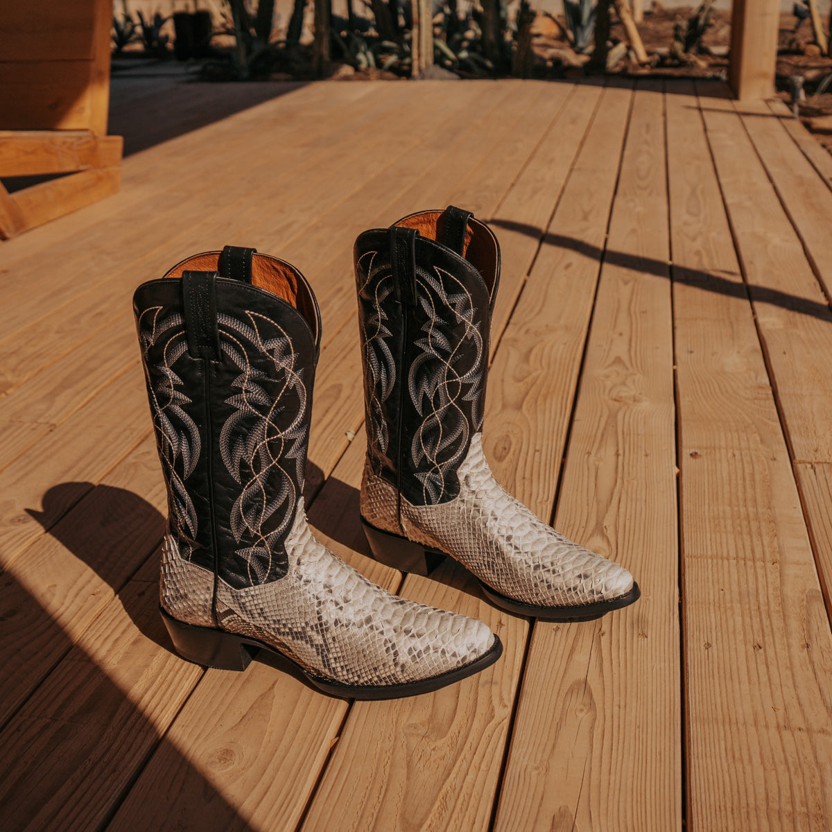 Dan Post Men's Manning Python Boot, Natural – lifestyle