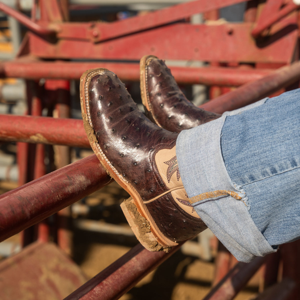 HYER Women's Harper Boots in purple and white with a stylish ankle-high design and lace-up front.