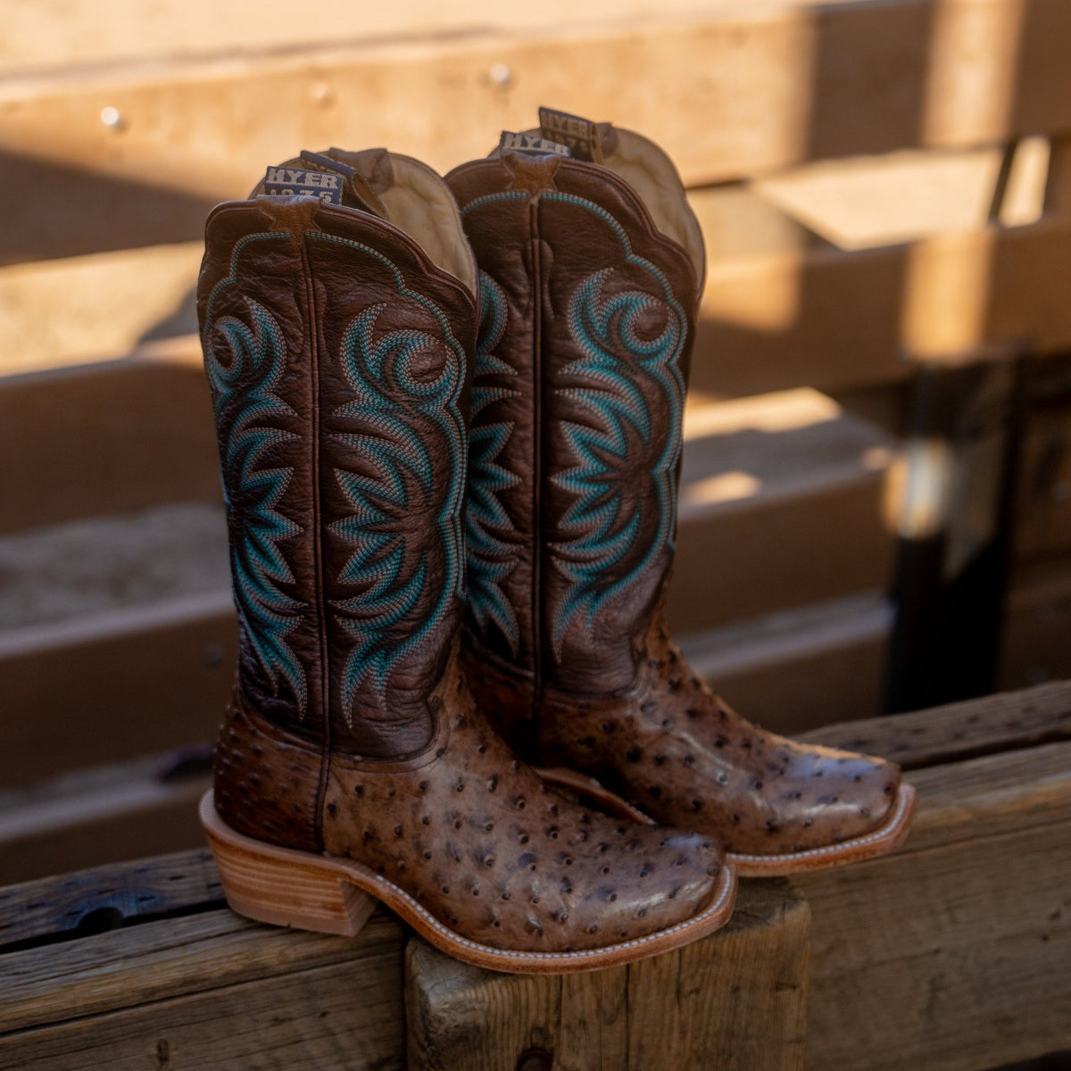 HYER Women's Colby 13" Western Boot, Brown/Bronze – lifestyle