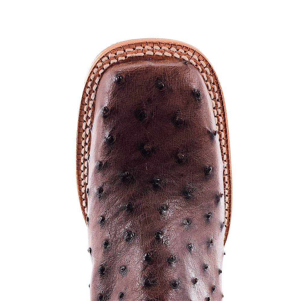 R. Watson Women's Kango Tabac/Bone Sinatra Full Quill Ostrich Wide Square Toe Boot – top