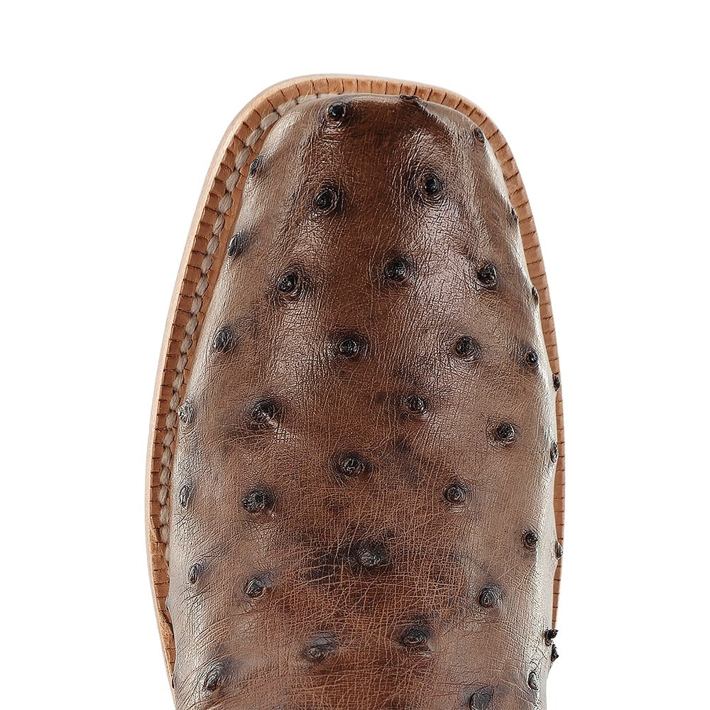 R. Watson Women's Kango Tabac/Chocolate Full Quill Ostrich Cutter Toe Boot – top