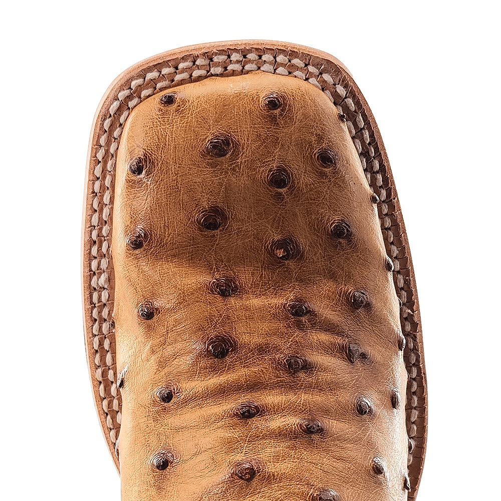 R. Watson Women's Antique Saddle Bruciato/Sienna Full Quill Ostrich Wide Square Toe Boot – top