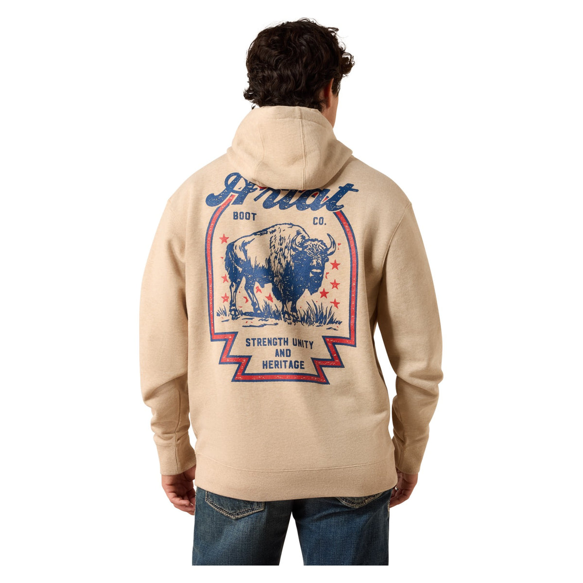 Ariat Men's Bison Archer Hoodie, Oatmeal – back