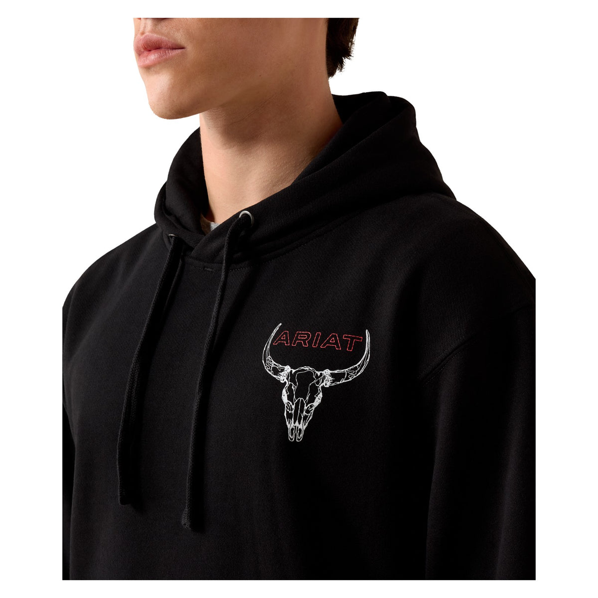 Ariat Men's Bison Bureau Hoodie, Black – detail 2