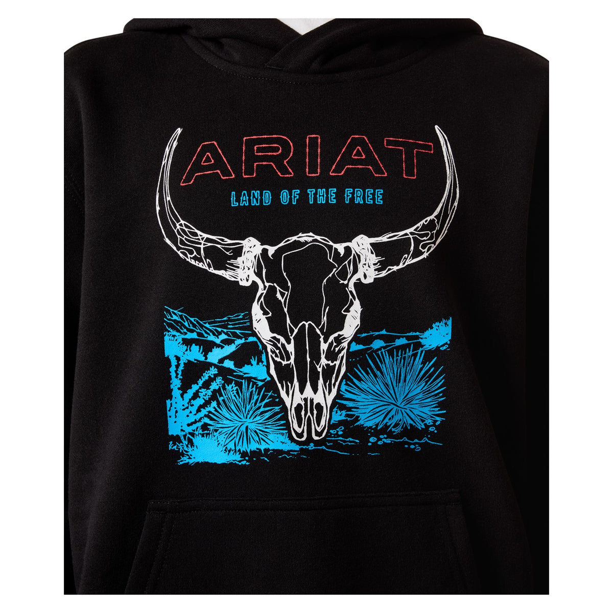 Ariat Youth Bison Bureau Hoodie, Black – detail