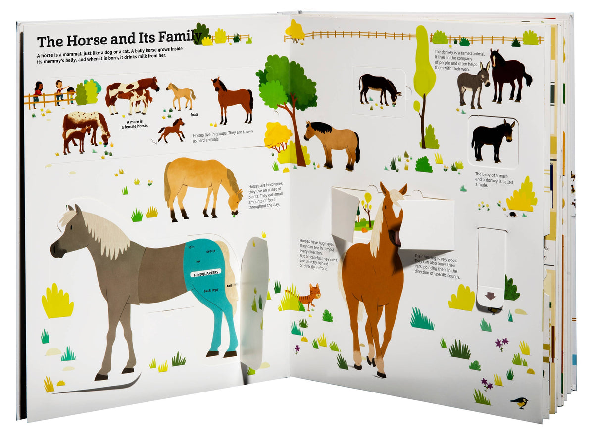Open book titled "The Ultimate Book of Horses" by Chronicle Books with detailed horse illustrations and informative text.