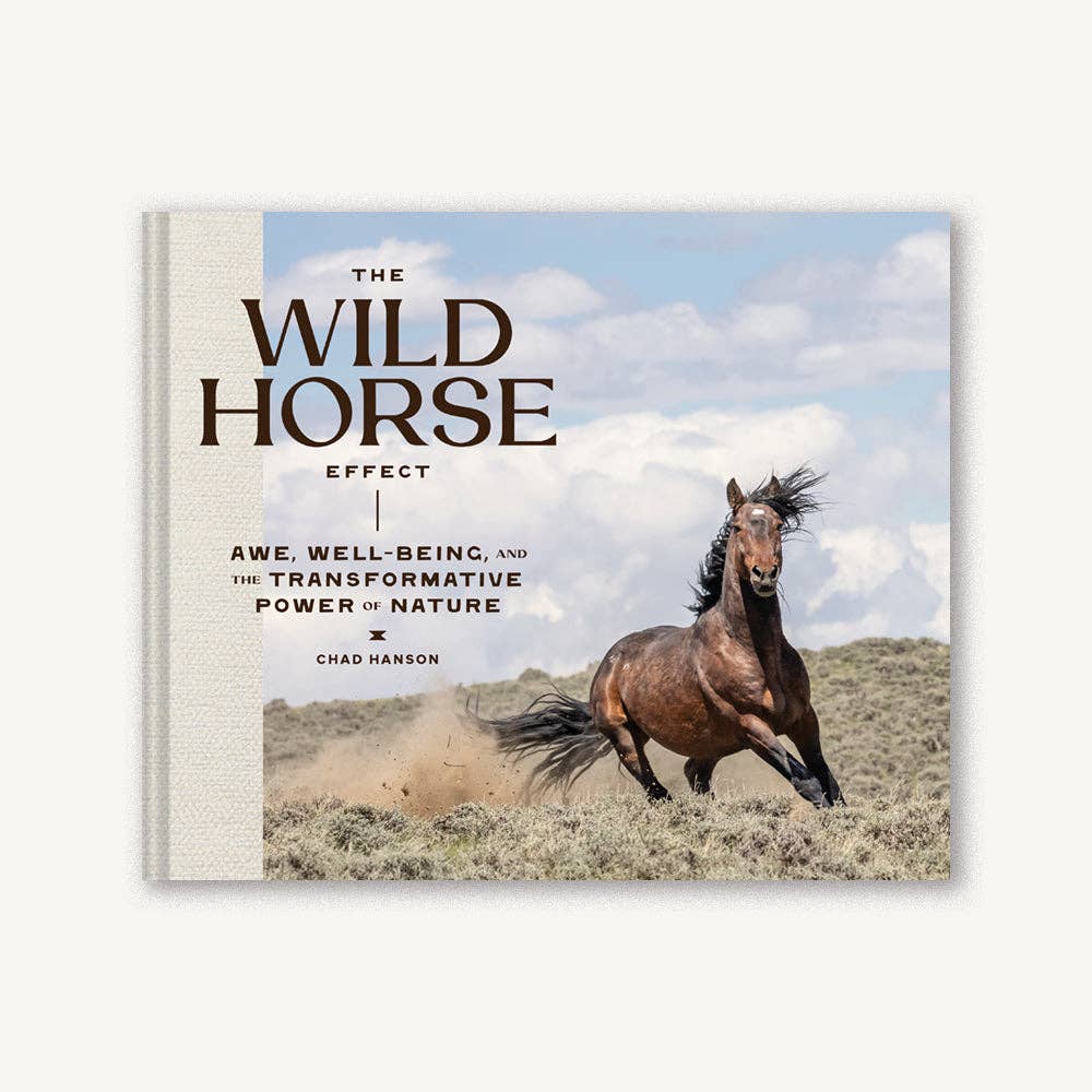 Chronicle Books Wild Horse Effect book cover featuring artistic illustrations of wild horses on a vibrant background.