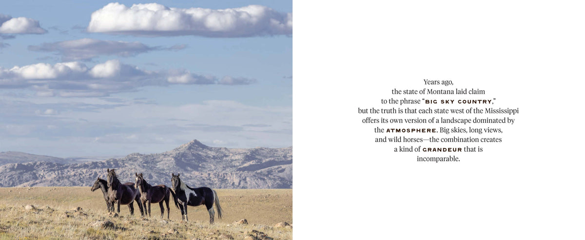 Chronicle Books Wild Horse Effect book cover featuring a colorful, artistic illustration of wild horses in nature.