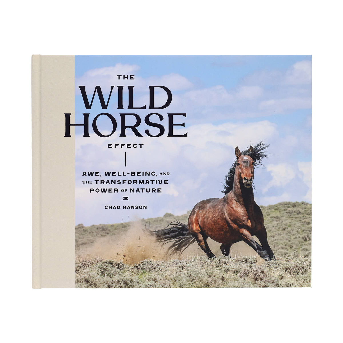 Cover of the Wild Horse Effect book by Chronicle Books featuring a vibrant wild horse illustration and creative typography.
