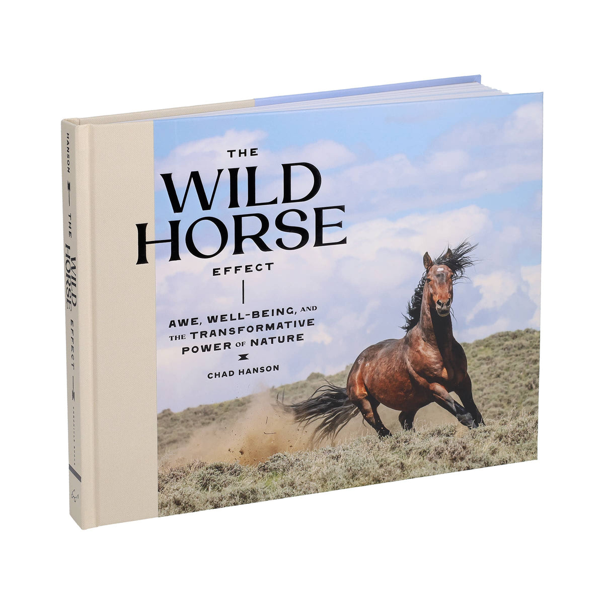 Chronicle Books Wild Horse Effect book featuring vibrant cover art and creative illustrations by Chronicle Books.