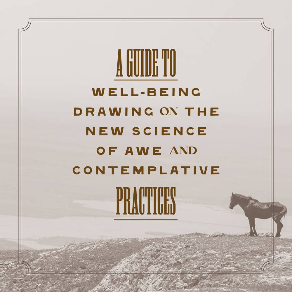 Chronicle Books Wild Horse Effect book featuring cover illustration and title in a vibrant, artistic design.