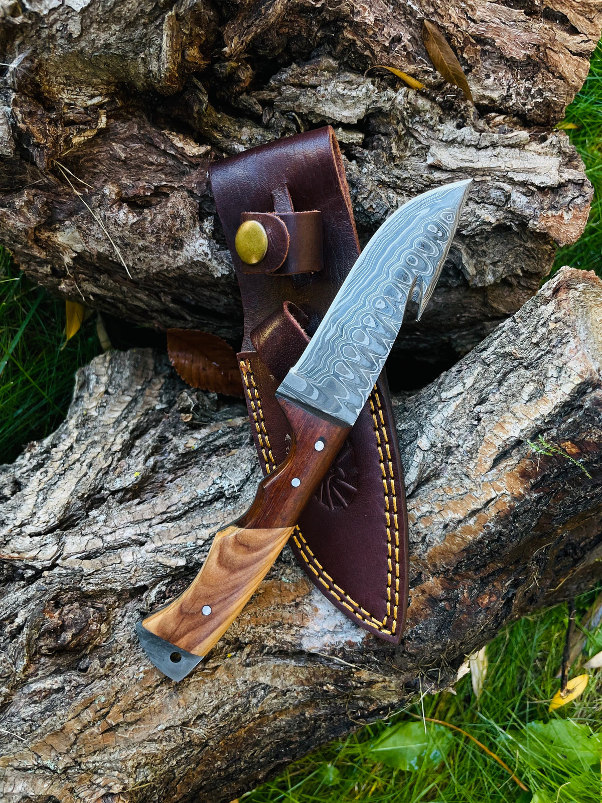 Damascus steel Guthook skinning knife by Titan International K, with a sharp blade suited for outdoor sporting and hunting tasks.