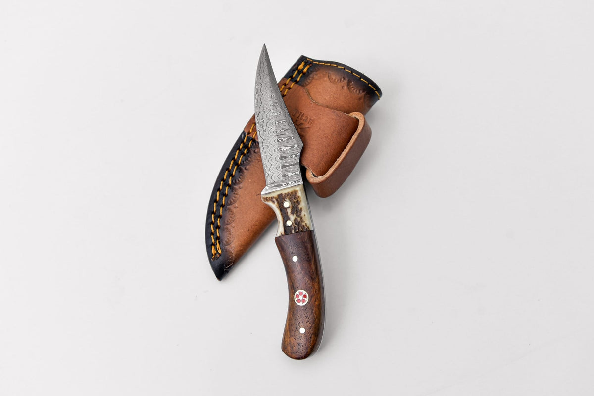 Damascus steel skinner knife with stag and walnut handle grips by Titan International K, showcasing detailed blade and natural wood accents.