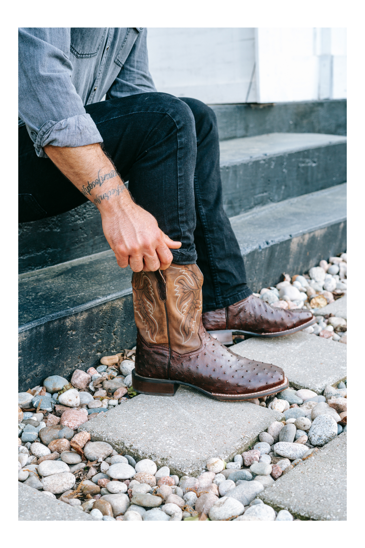 Dan Post Men's Alamosa Full Quill Ostrich (Chocolate)