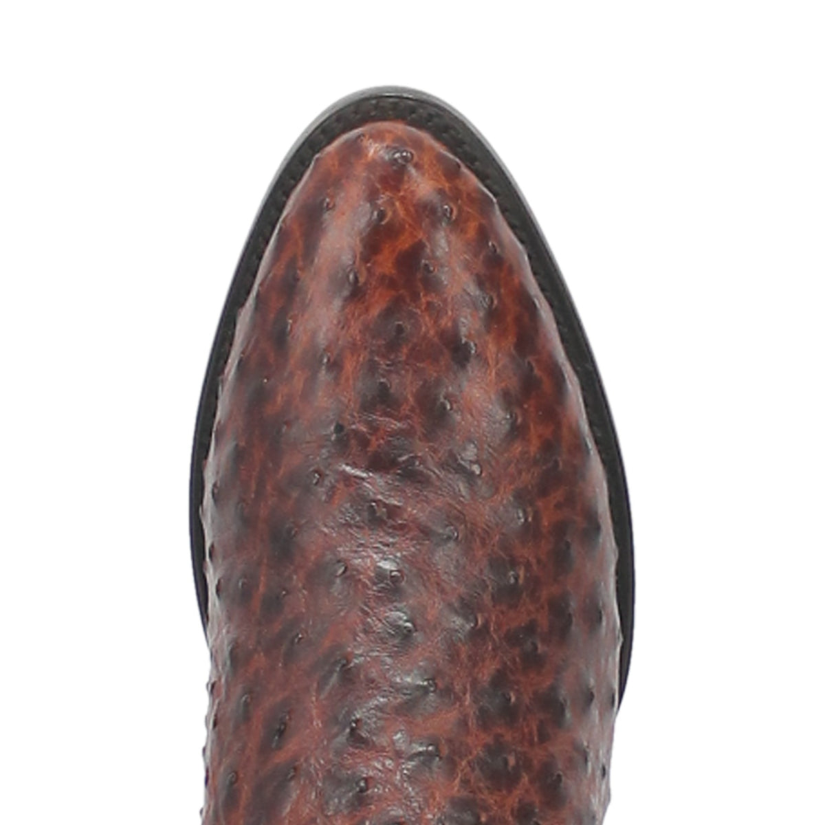 Dan Post Men's Pershing Full Quill Ostrich Boot, Brass – top