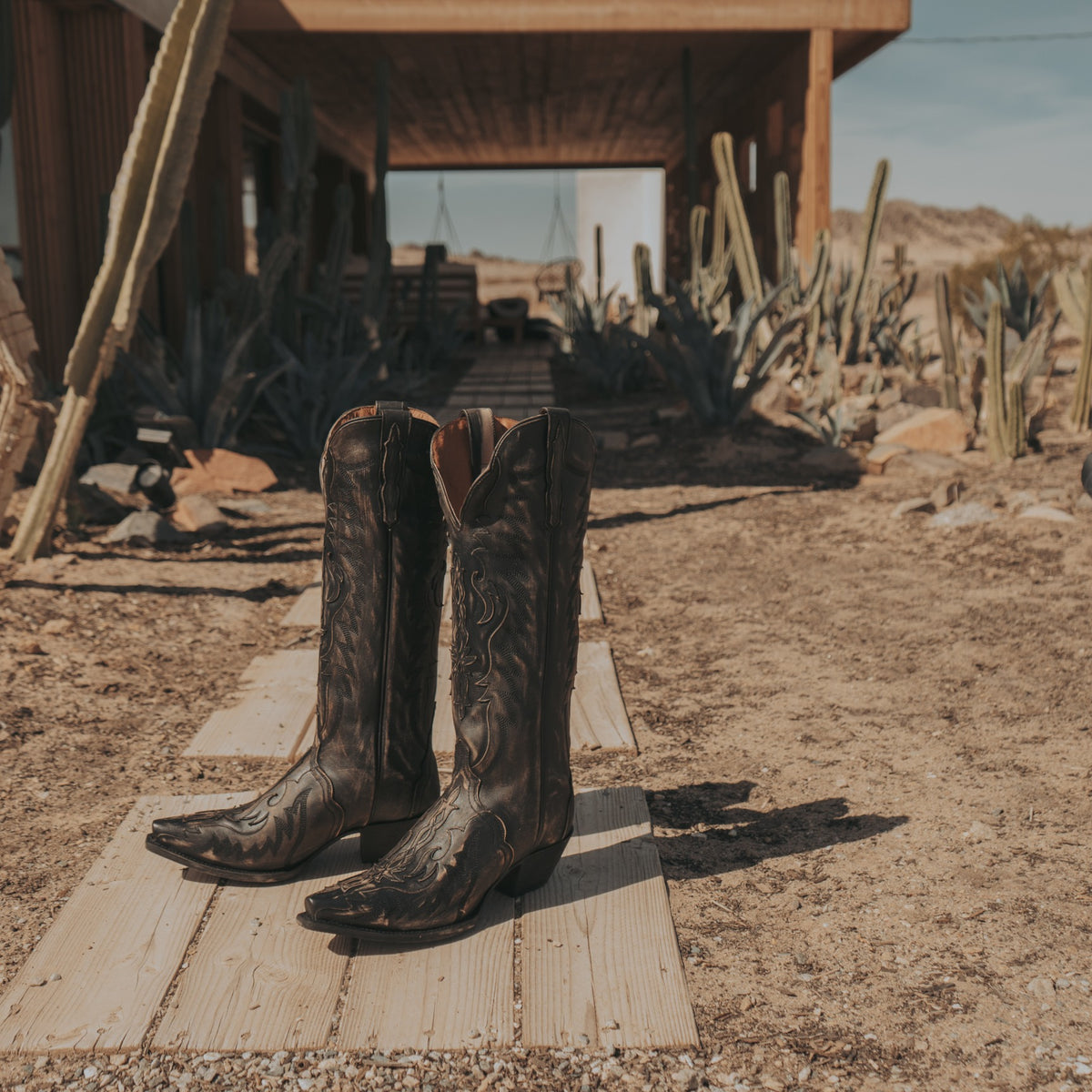 Dan Post Women's Hallie Boot, Black – lifestyle