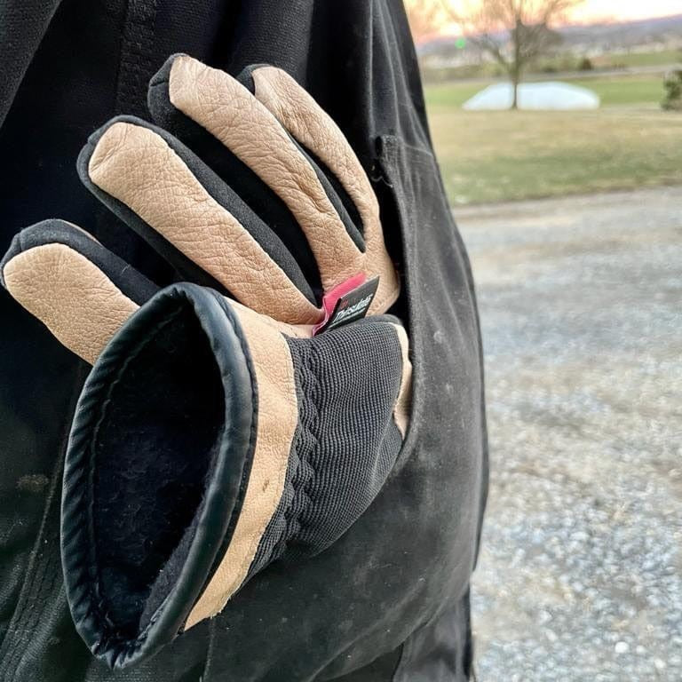 Golden Stag Glove Unisex Tan Black 170 - view 2