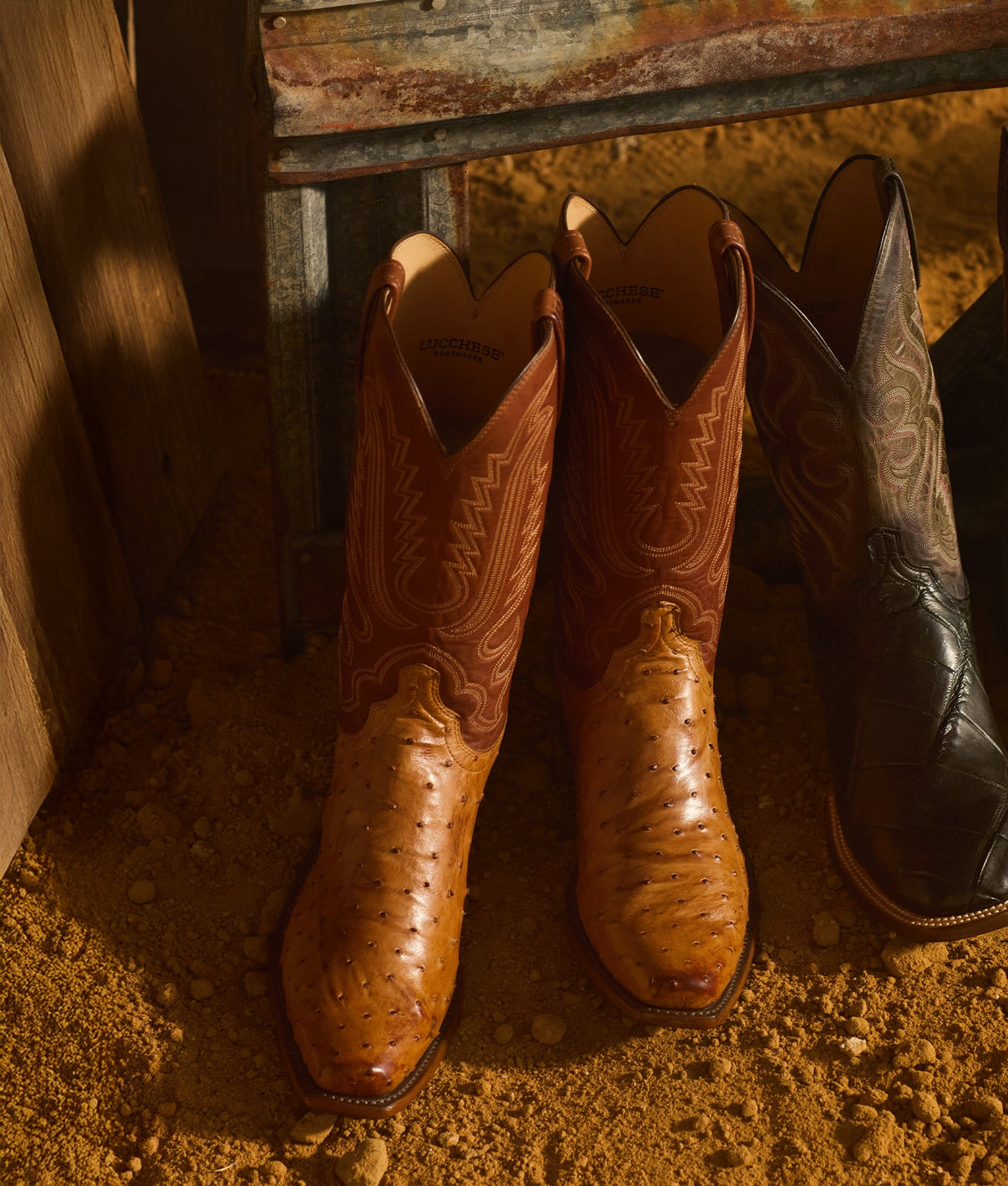 Lucchese