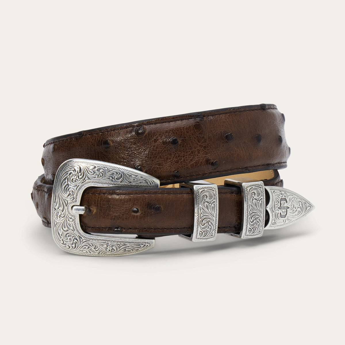 Stetson women's mocha brown ostrich leather tapered tab belt with a silver buckle, stylish accessory for casual or dress outfits.