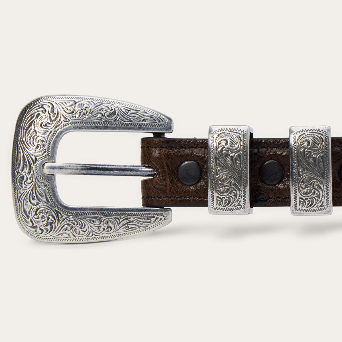 Stetson women's ostrich leather tapered tab belt in mocha brown with a polished buckle, stylish accessory for casual or formal wear.
