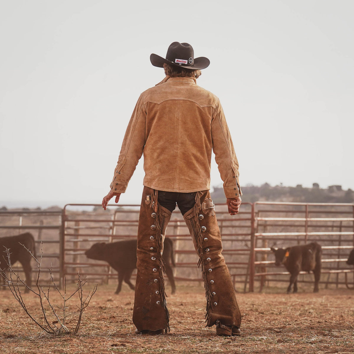Women's STS Ranchwear Scottsdale suede jacket with Western cut, featuring classic styling and detailed stitching.