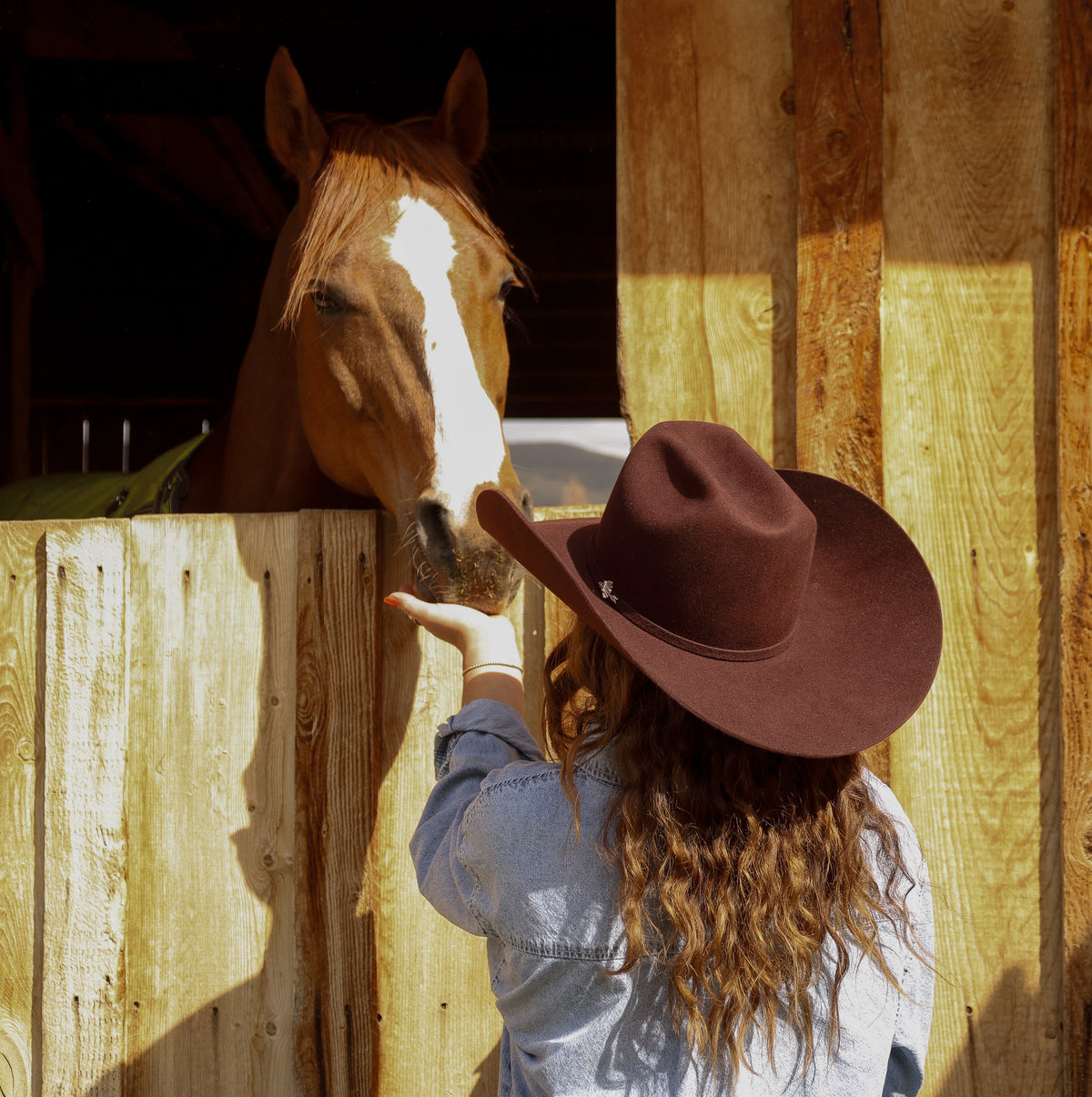 Warbonnet Hats