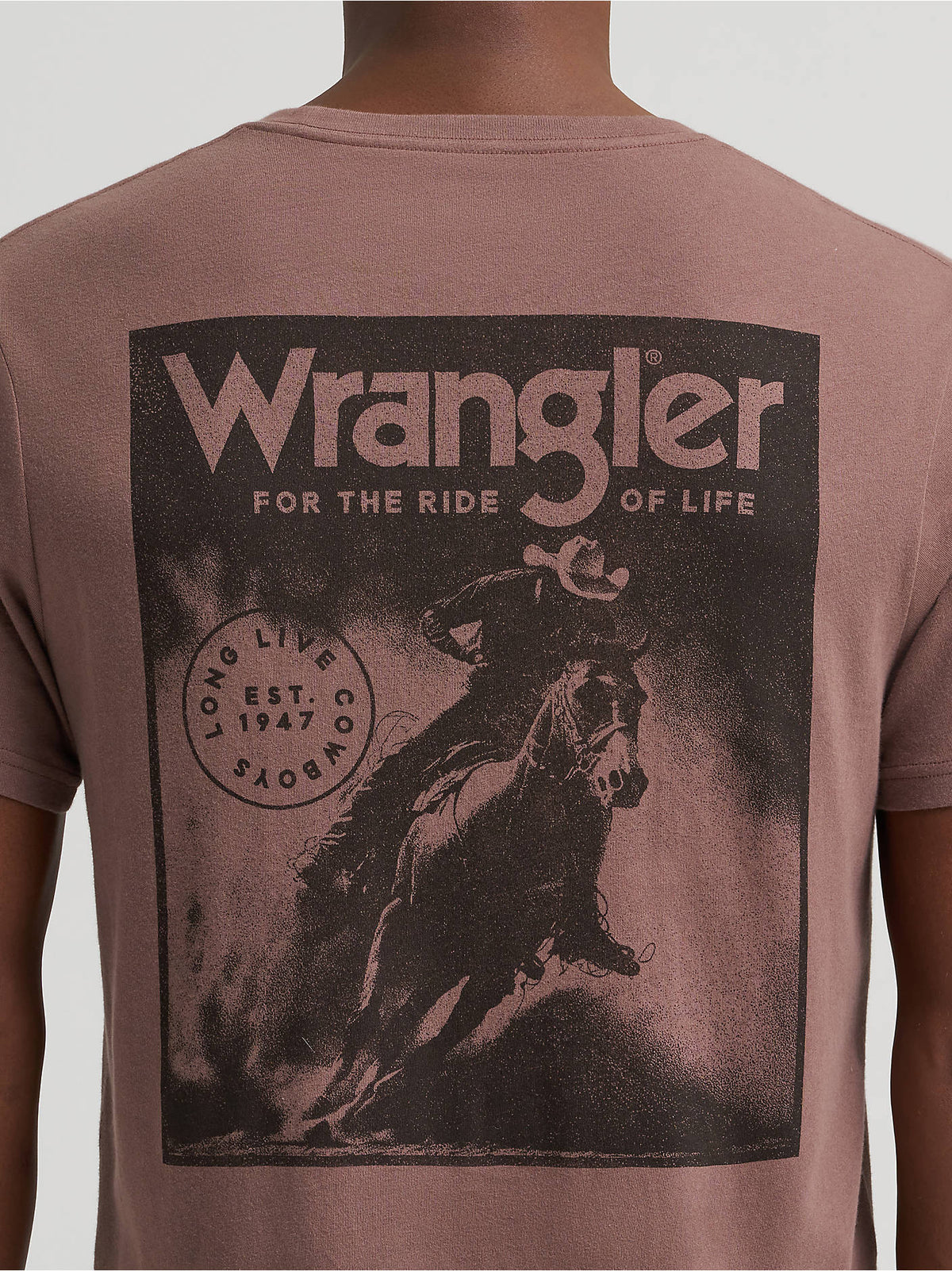 Wrangler Men's Graphic Short Sleeve T-Shirt, Coffee Quartz – back graphic detail